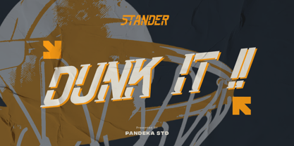 Stander Font Poster 11