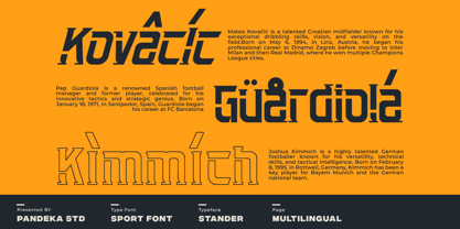 Stander Font Poster 7