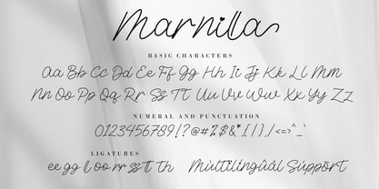 Marnilla Signature Font Poster 7