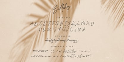 Selliboy Script Police Poster 12