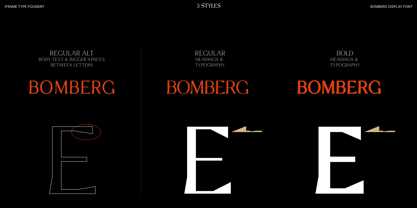 Bomberg Display Serif Font Poster 6