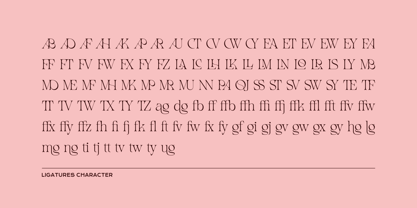 Mollen Fancyla Font Poster 5