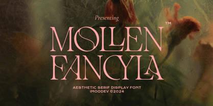 Mollen Fancyla Font Poster 1