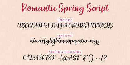 Romantic Spring Font Poster 6