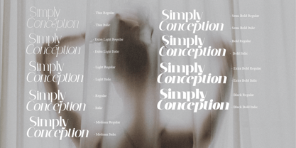 Simply Conception Font Poster 3
