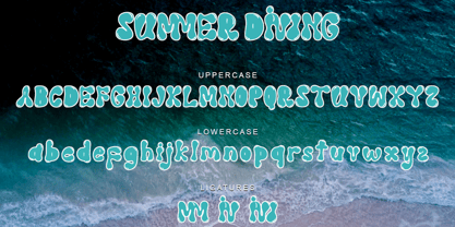 Summer Diving Font Poster 6