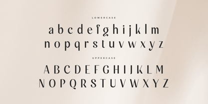 Quince Style Font Poster 13