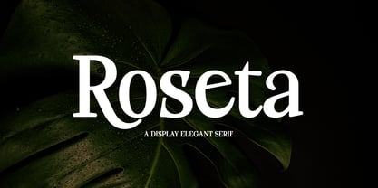 Roseta Display Font Poster 1