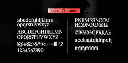 Roseta Display Font Poster 10