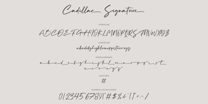 Cadillac Signature Font Poster 11