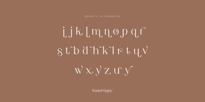 Wasted Vindey Font Poster 11