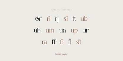 Wasted Vindey Font Poster 9