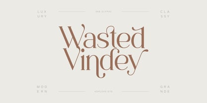 Wasted Vindey Font Poster 1