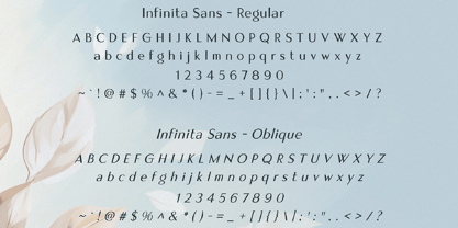 Infinita Sans Font Poster 2