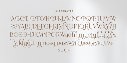 Morona Font Poster 13