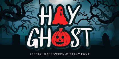 Hay Ghost Fuente Póster 1