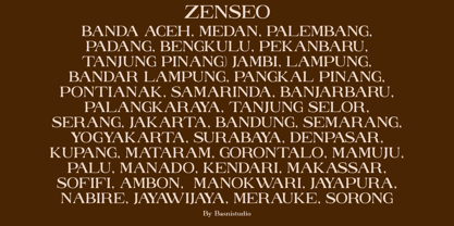 Zenseo Font Poster 2
