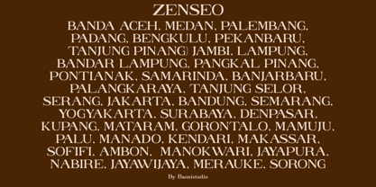 Zenseo Police Poster 2