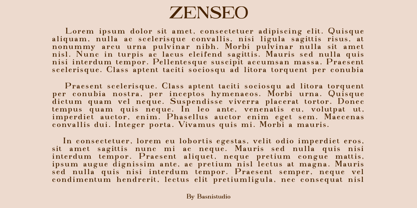 Zenseo Font Poster 3