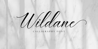 Wildane Script Font Poster 1