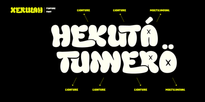 Xerulah Font Poster 2