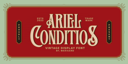 Ariel Conditios Font Poster 1