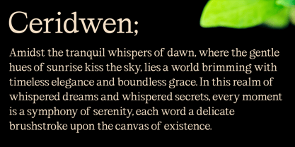 Ceridwen Font Poster 1