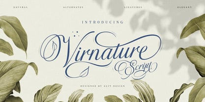 Virnature Font Poster 1