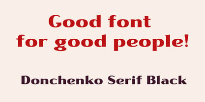 Donchenko Serif Font Poster 12