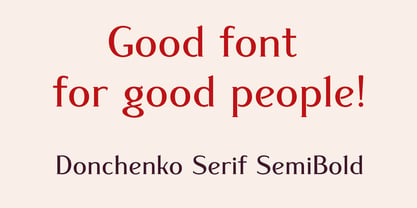 Donchenko Serif Font Poster 9
