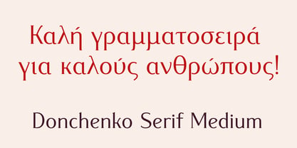 Donchenko Serif Font Poster 8