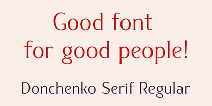 Donchenko Serif Font Poster 7