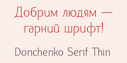 Donchenko Serif Font Poster 6