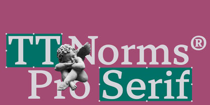 TT Norms Pro Serif Font Poster 1