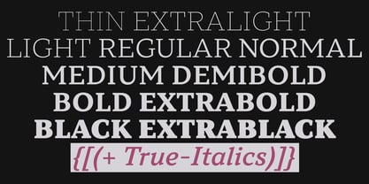 TT Norms Pro Serif Font Poster 2