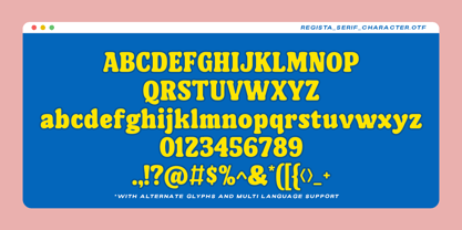 Regista Font Poster 8