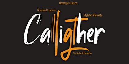 Calligther Font Poster 2