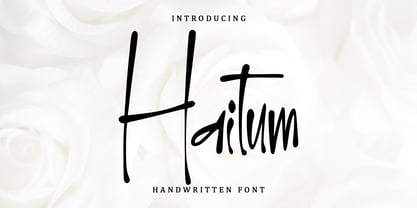 Haitum Font Poster 1