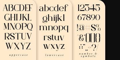 Herva Font Poster 9