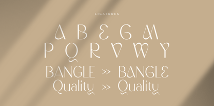 Mitane Font | Webfont & Desktop | MyFonts