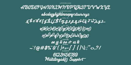 Handyrush Font Poster 10