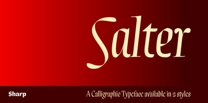 Salter Font Poster 1