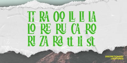 Loscarlo Font Poster 7