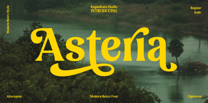 Asteria Font Poster 1