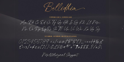 Bellidhia Font Poster 5