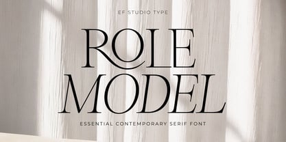 Role Model Font Poster 1