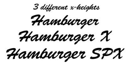 Hamburger Font Poster 4