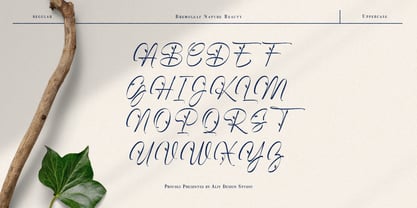 Bremoleaf Font Poster 6