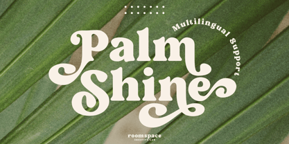 Palm Shine Font Poster 1