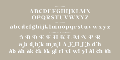 Mahgin Font Poster 7